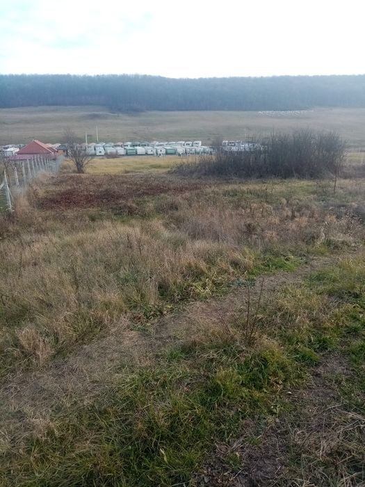 Vând terenuri extravilane