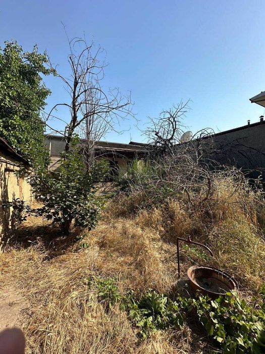 Hovli ,uchtepa tumani taqachi mahalllada