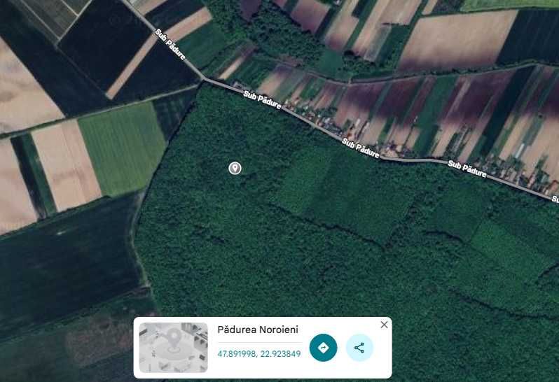Teren cu padure Noroieni