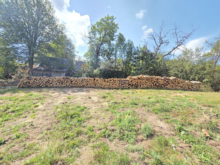 Lemne de fag uscate sau verzi