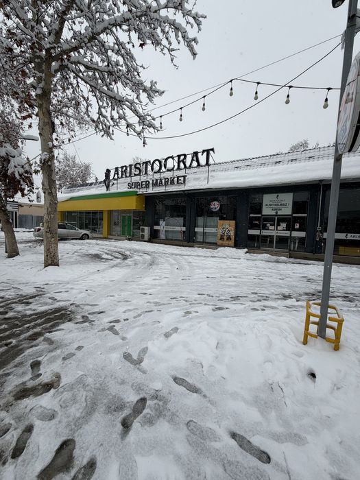 Aristokrat obektini yarmi ijaraga beriladi