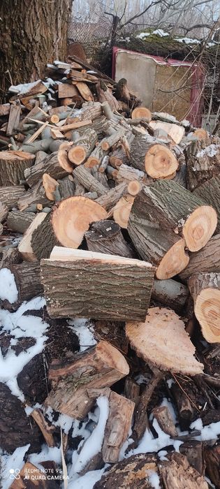 Агаш отын  дрова