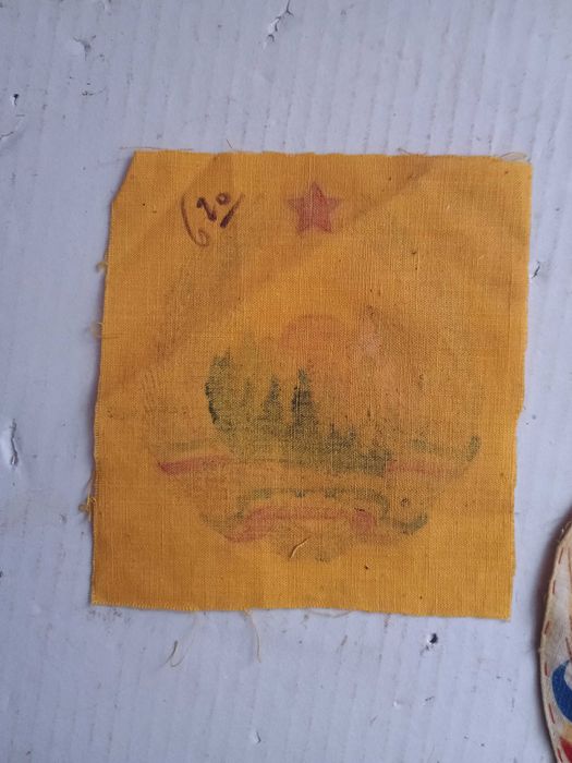 Steag RPR . Ceaușescu . Comunist