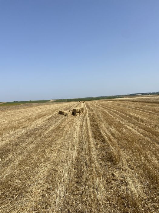 Vand baloti paie 2025