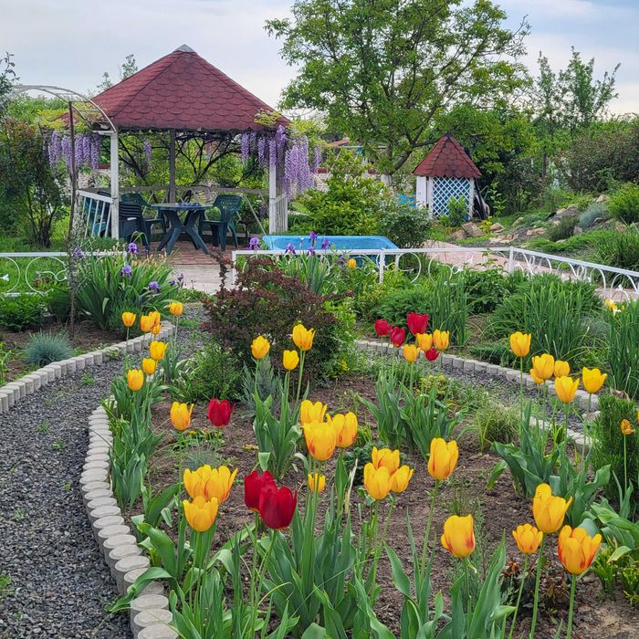 Proprietar - Casă spațioasă în centrul comunei Giarmata