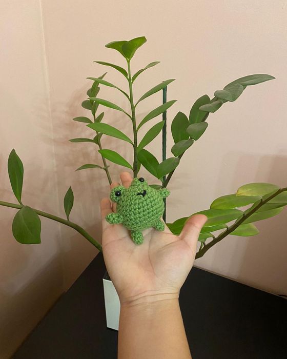 Лягушка ручной работы