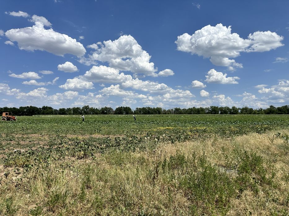 Продам участок село Узынагаш