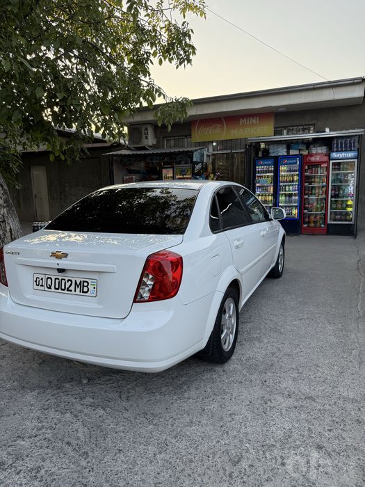 Gentira 2022 yil Elegant Plus
