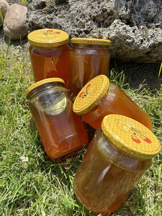 Предлагам Натурален пчелен Мед