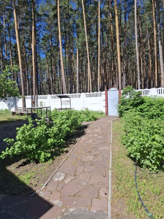 Сдам коттедж на длительный срок