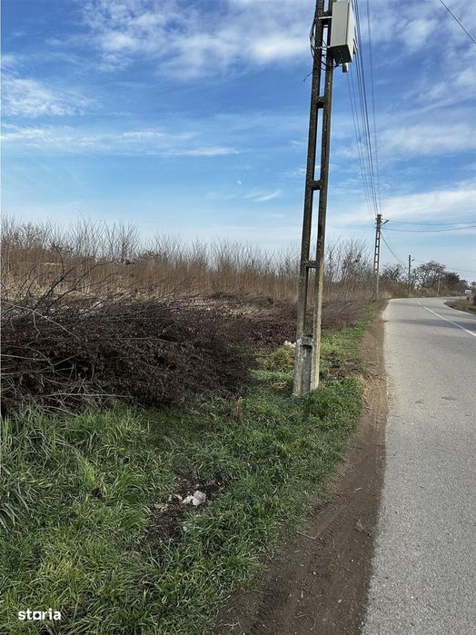 Parcele Intravilan 5km de Salonta Utilitati si asfalt