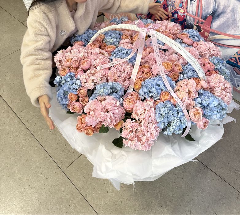 гортензия бугынгы