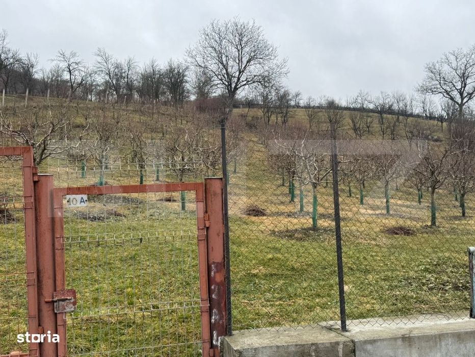 Teren de vanzare, Zona linistita, ideal construire