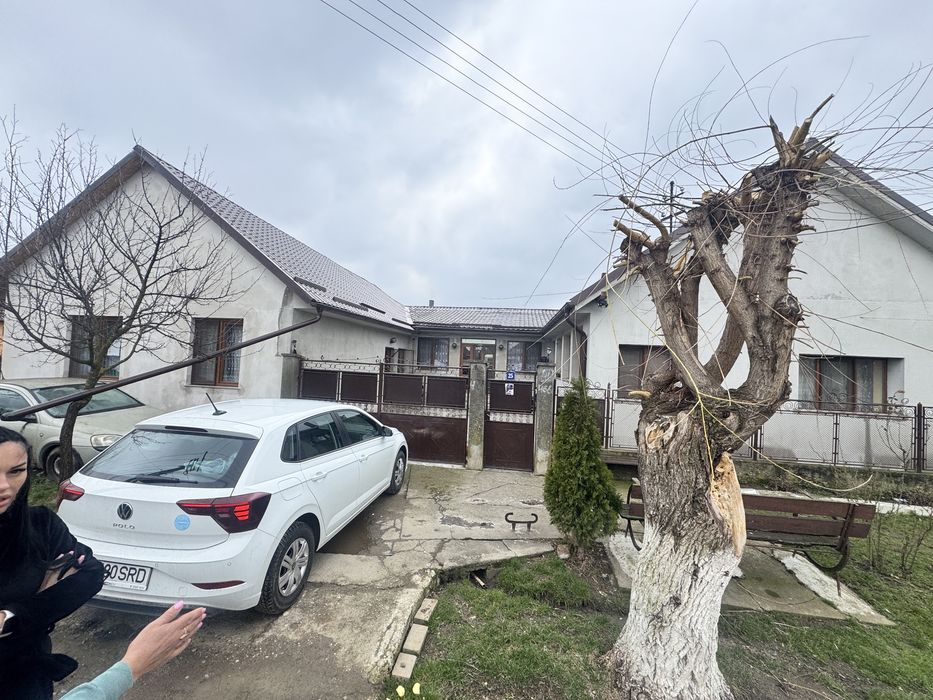 Amanajare curti cu pavaj