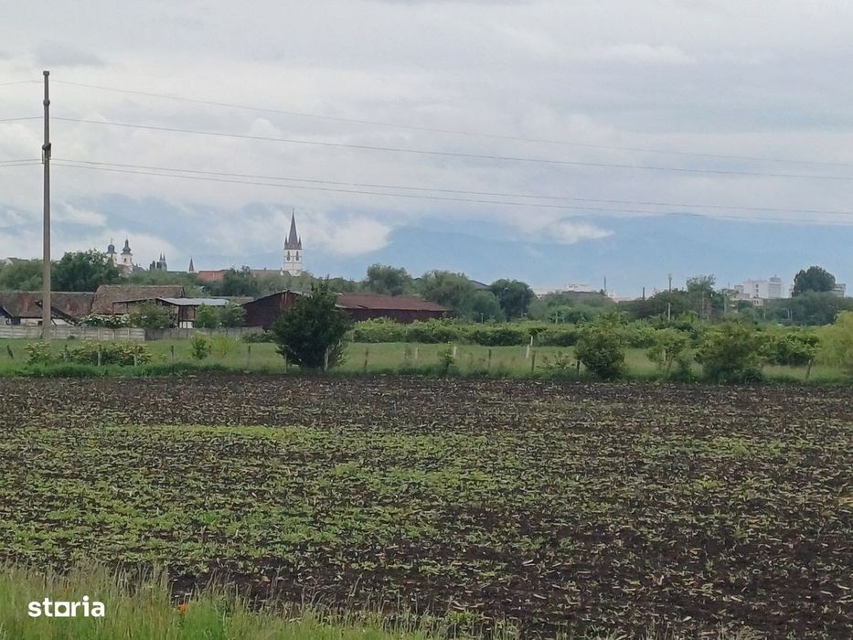 Teren extravilan arabil – 8.700 mp – Gușterița