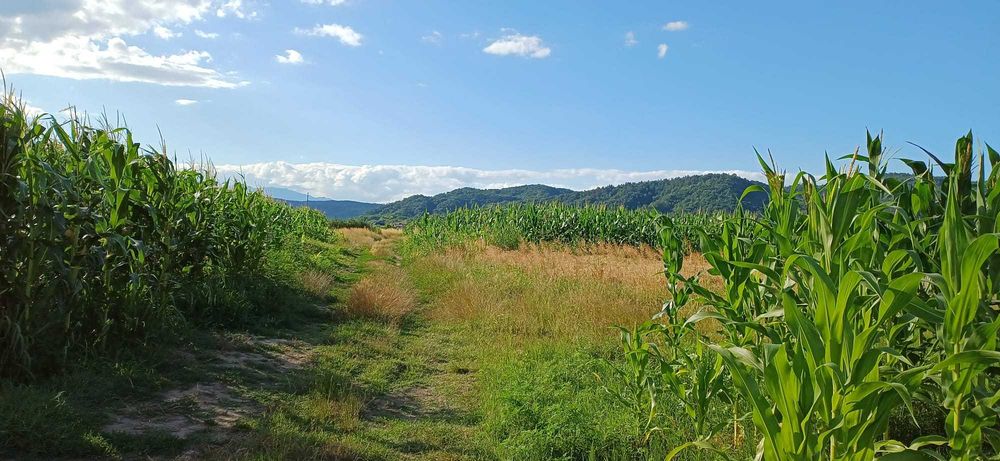 Teren Intravilan - drumul garii Ramnicu Valcea