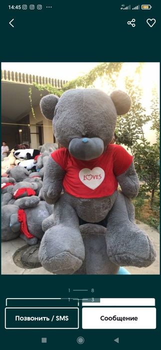 Teddi-Teddy-Ayiqchalar_Xasanboyda