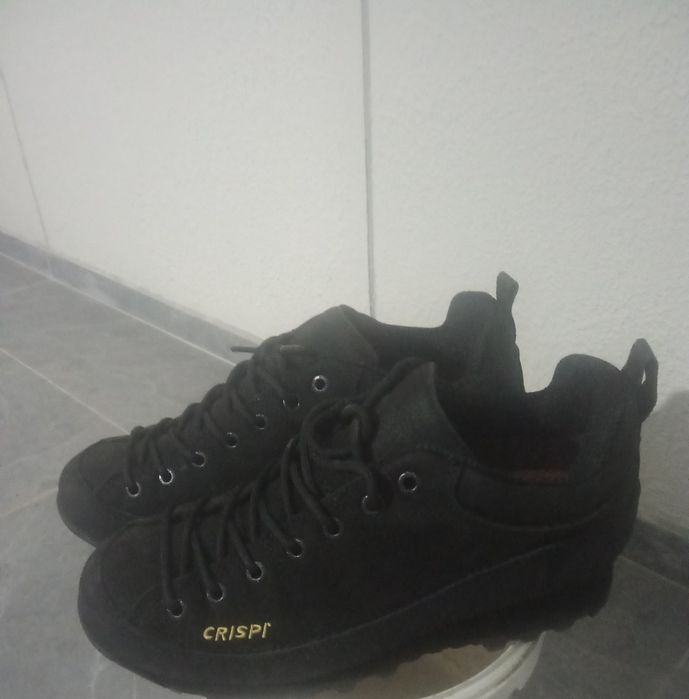 Красовка Криспи новый