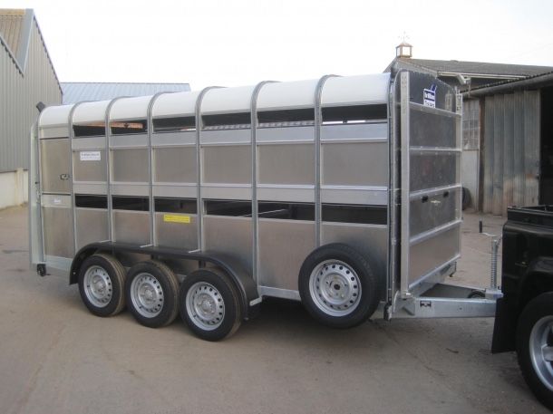 Transport animale vii 100% autorizat livestock Romania / international