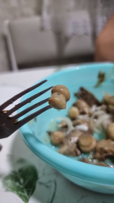 Продам маринновые шампиньены