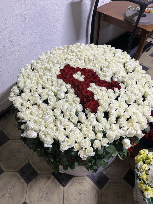 Роза  свежие  1001  шт