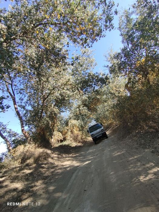 Yuk tashish xizmati  Xorazm Qaraqolpoq boʻylab