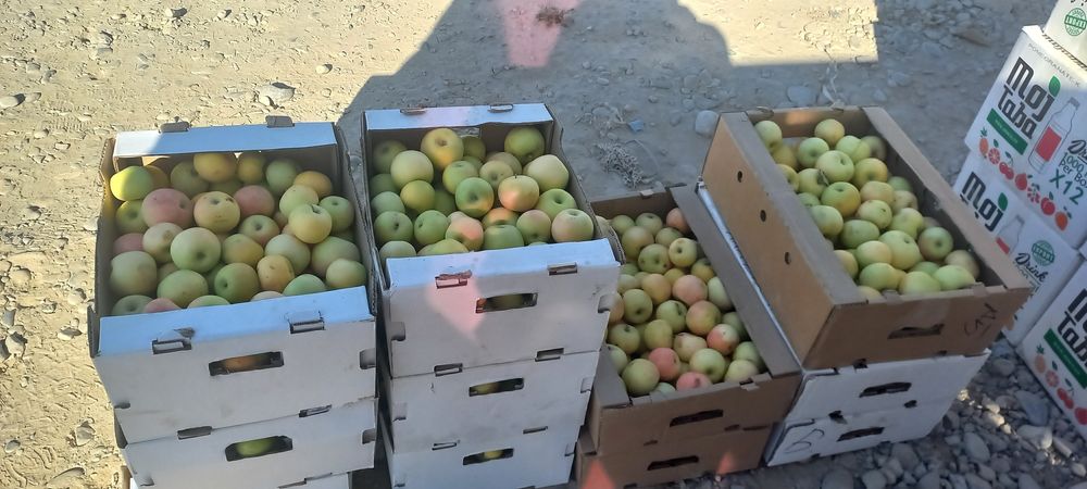 Фазенда, бау-бақша сатылады