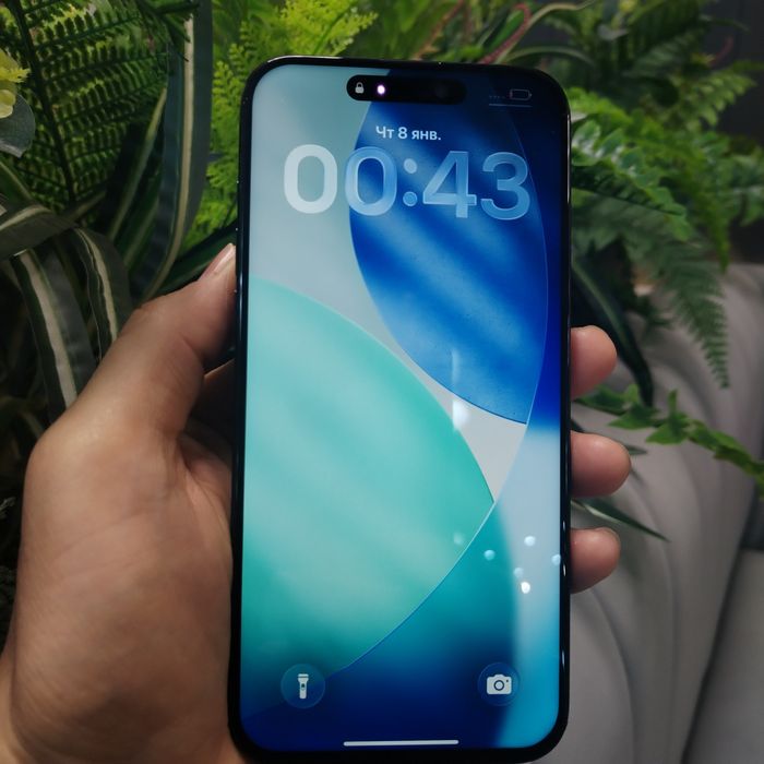 iPhone 15 Pro макс память 256 гб