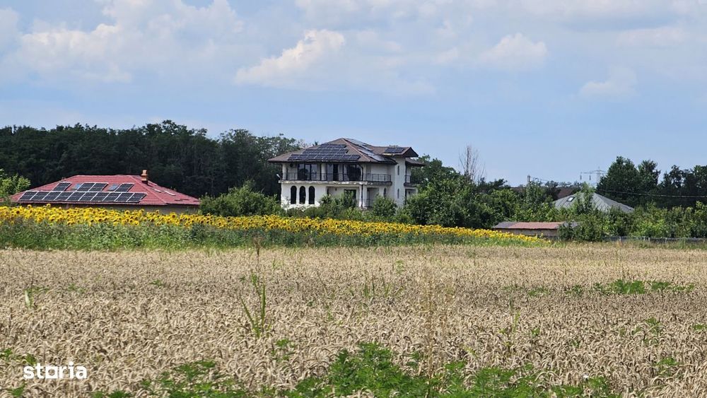Teren Gulia Tartasesti, padurea Raioasa, investitie premium