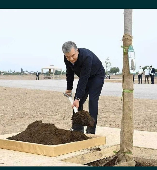 Чувалчанг ва биогумс сотилади