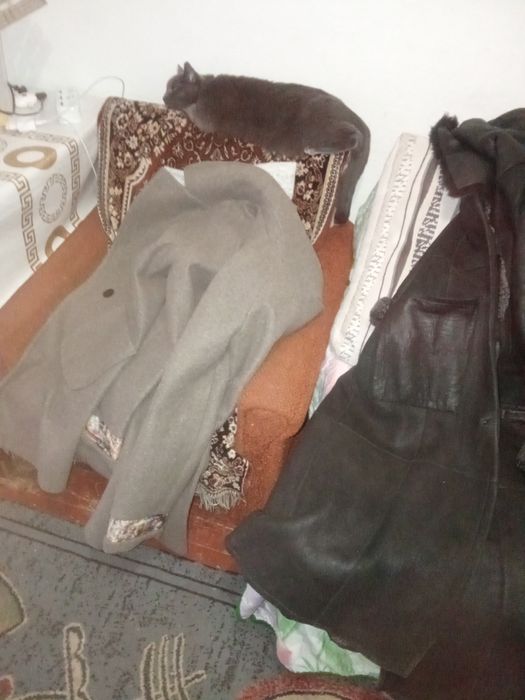 Верхняя женская одежда