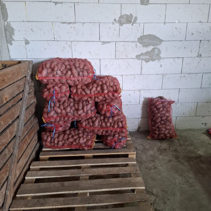 Cartofi albi si rosi de vanzare