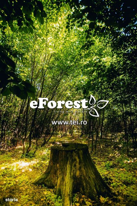 Profită acum de oferta de Paște! Langa padure. zona verde - eForest