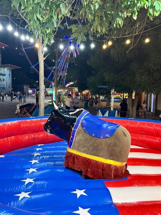 Привой бык бизнес