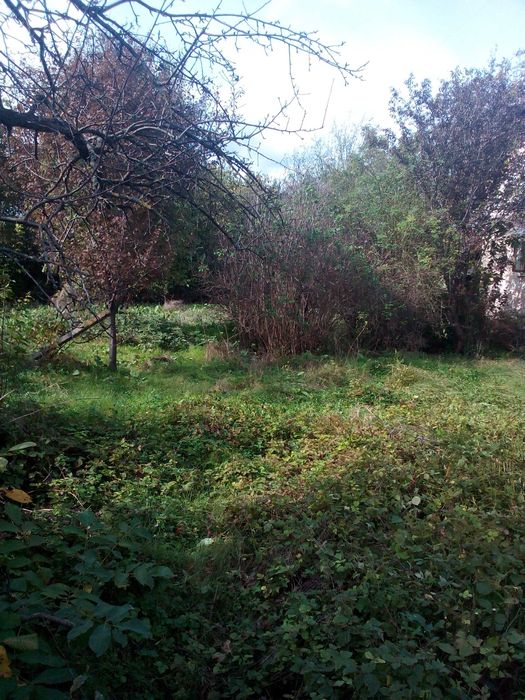 Продава се Къща в с. Садовец, Област Плевен - 42 кв.м за 310 €/кв.м - Снимка #12