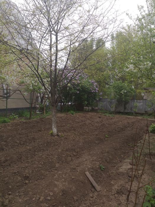 Срочно продается дача с правой стороны от Таш.Моря