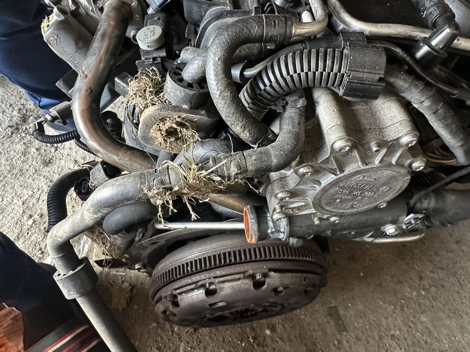 Piese motor vw passat b6 2.0 tdi BKP