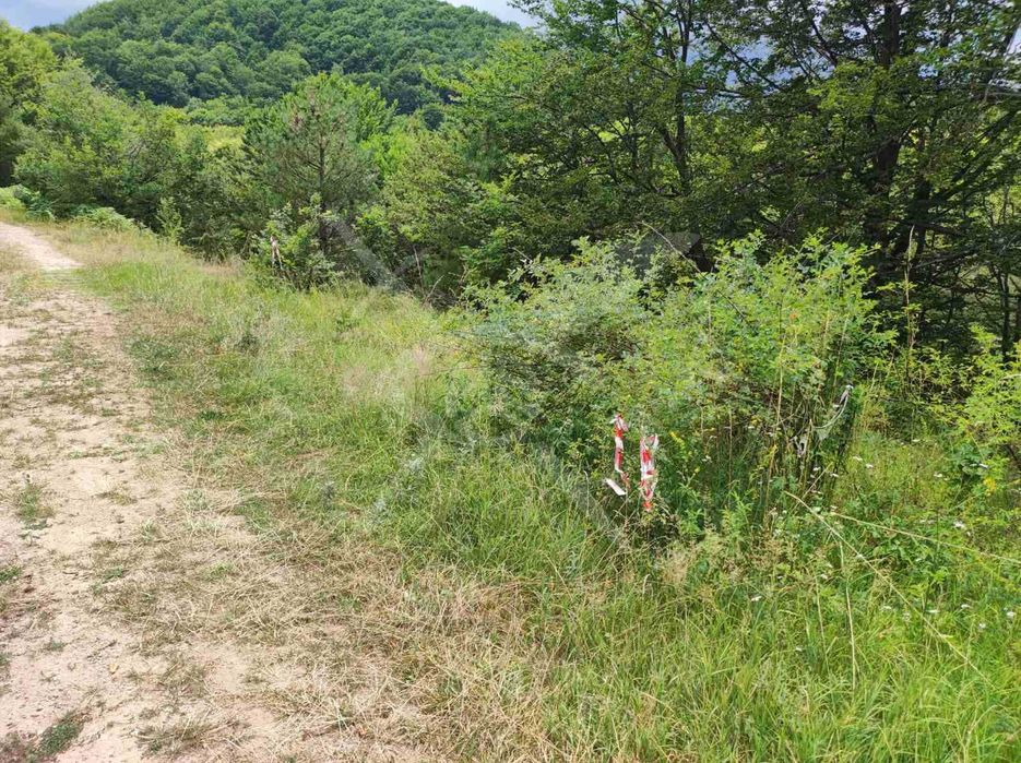 Продава се Парцел в с. Мостово, Област Пловдив - 2081 кв.м за 16 €/кв.м - Снимка #1