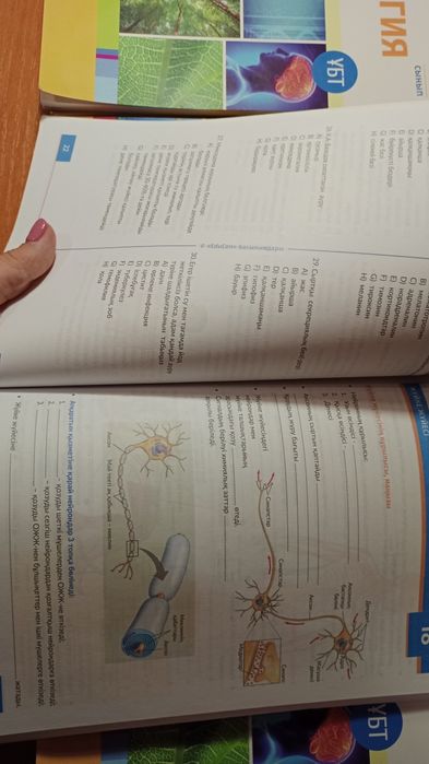 Биология ҰБТ дайындық кітап