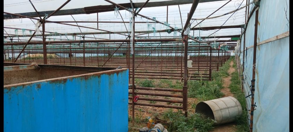 Продается теплица