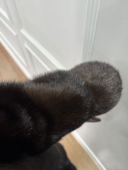 Шуба норковая.  Шубы