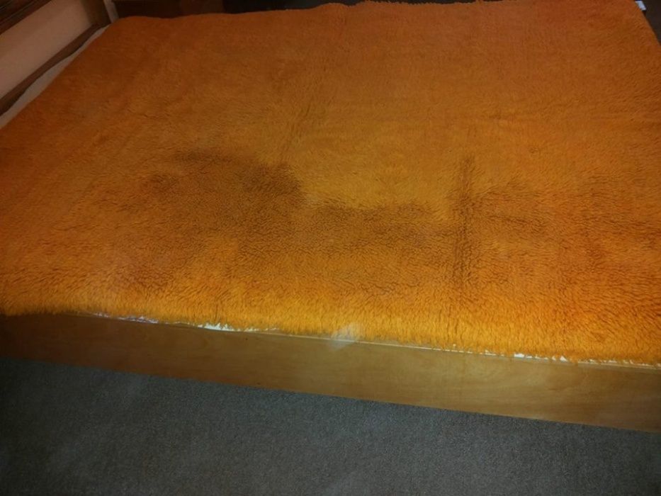 Китеници в различни цветове