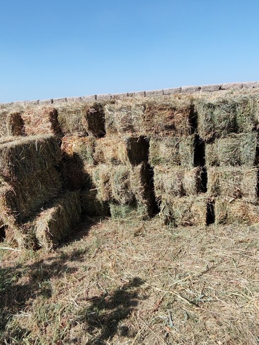 Beda  Makka sorgo aralash press sotiladi.