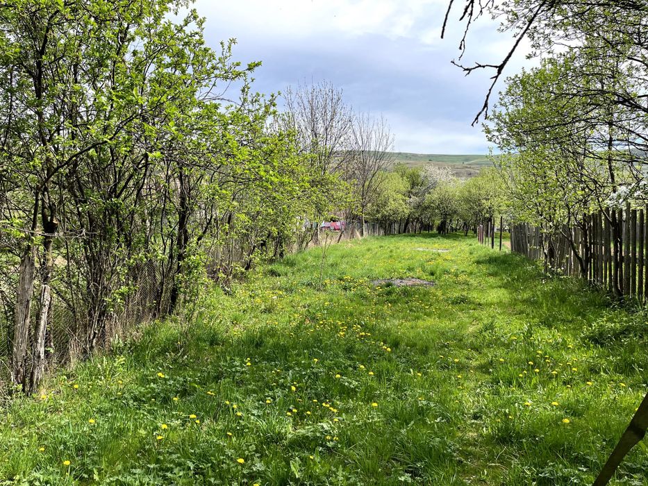 Casa de vanzare in Baisoara cu teren intravilan de 1750 mp