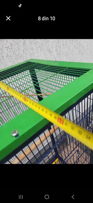 Colivie pentru papagali