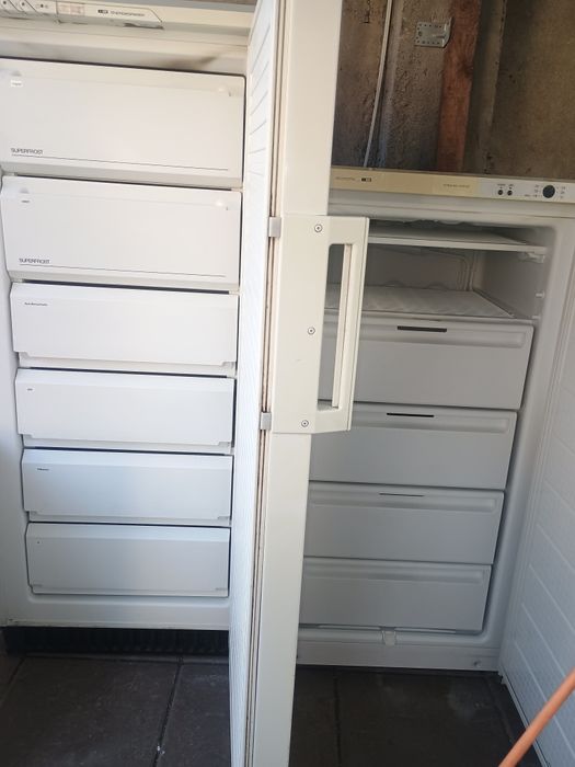 Frigider cu congelator artic 2/3 sertare, congelator AEG 230 l