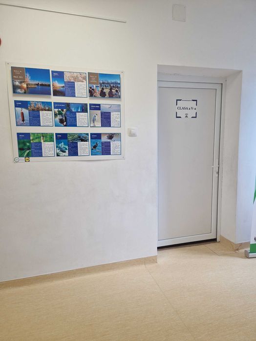 Usi termopan școală