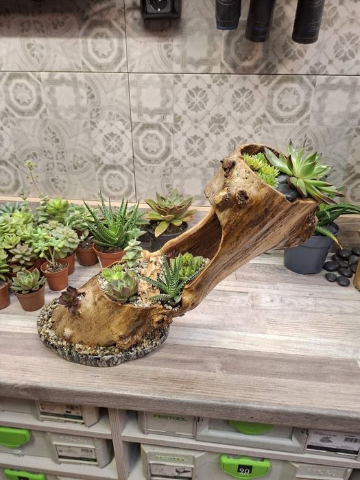 Мини градинка за вашият дом и офис.