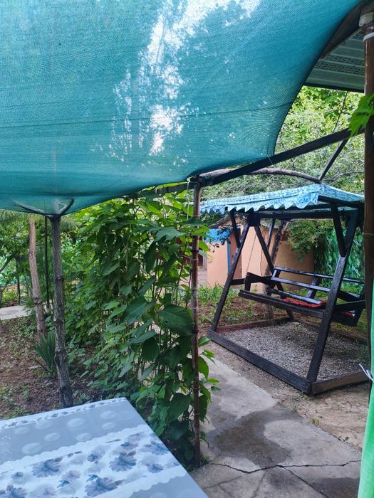 #Humsonda Dacha N1