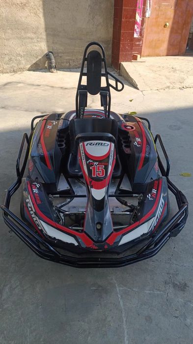 Rimo sinus ion электрокартинг